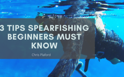 3 Tips Spearfishing Beginners Must Know