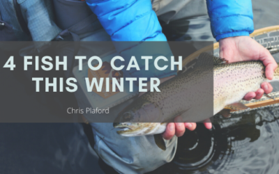 4 Fish to Catch This Winter