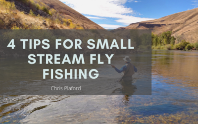 4 Tips for Small Stream Fly Fishing