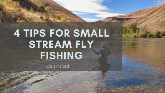 4 Tips for Small Stream Fly Fishing