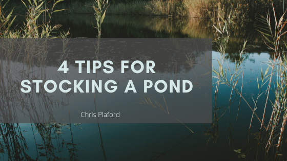 4 Tips for Stocking a Pond - Chris Plaford - Wilmington, North Carolina