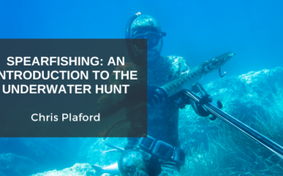 Spearfishing: An Introduction to the Underwater Hunt