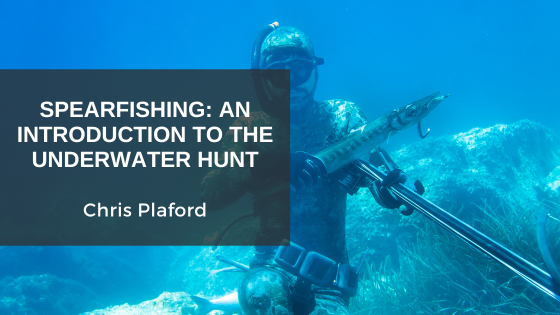 Spearfishing: An Introduction to the Underwater Hunt