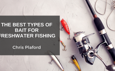 The Best Types Of Bait For Freshwater Fishing