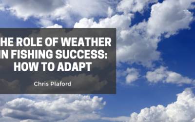 The Role of Weather in Fishing Success: How to Adapt