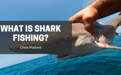 What Is Shark Fishing?