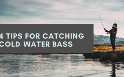 4 Tips for Catching Cold-Water Bass