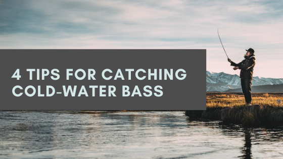 4 Tips for Catching Cold-Water Bass