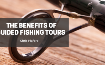 The Benefits of Guided Fishing Tours