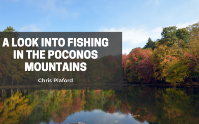 A Look Into Fishing In The Poconos Mountains