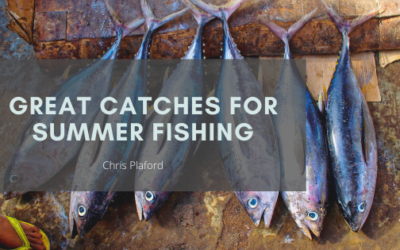 Great Catches for Summer Fishing