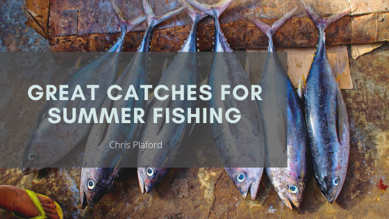 Great Catches for Summer Fishing - Chris Plaford - Wilmington, North Carolina