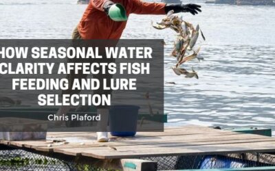 How Seasonal Water Clarity Affects Fish Feeding and Lure Selection