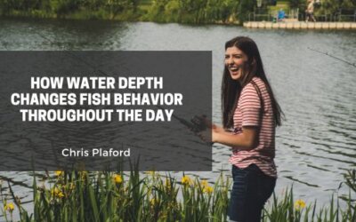How Water Depth Changes Fish Behavior Throughout the Day
