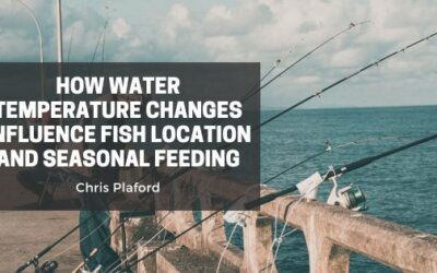 How Water Temperature Changes Influence Fish Location and Seasonal Feeding