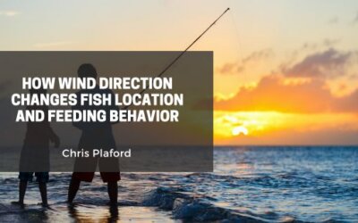 How Wind Direction Changes Fish Location and Feeding Behavior