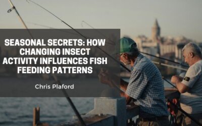 Seasonal Secrets: How Changing Insect Activity Influences Fish Feeding Patterns