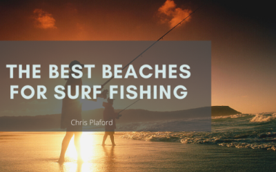 The Best Beaches for Surf Fishing