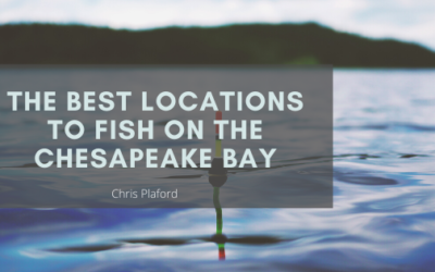 The Best Locations to Fish on the Chesapeake Bay