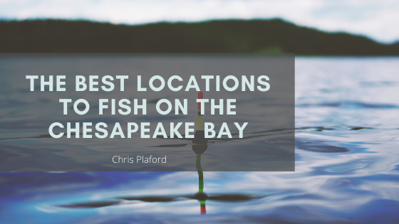 The Best Locations to Fish on the Chesapeake Bay