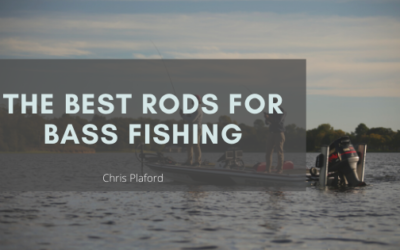 The Best Rods for Bass Fishing