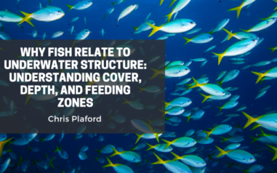 Why Fish Relate to Underwater Structure: Understanding Cover, Depth, and Feeding Zones