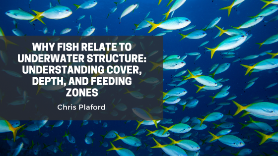 Why Fish Relate to Underwater Structure: Understanding Cover, Depth, and Feeding Zones