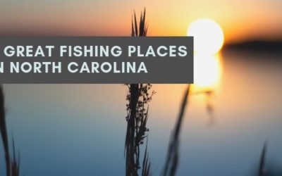 6 Great Fishing Places in North Carolina